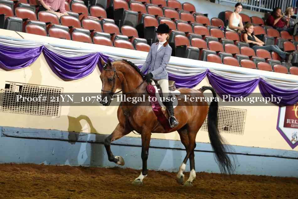 Proof 21YN_10784