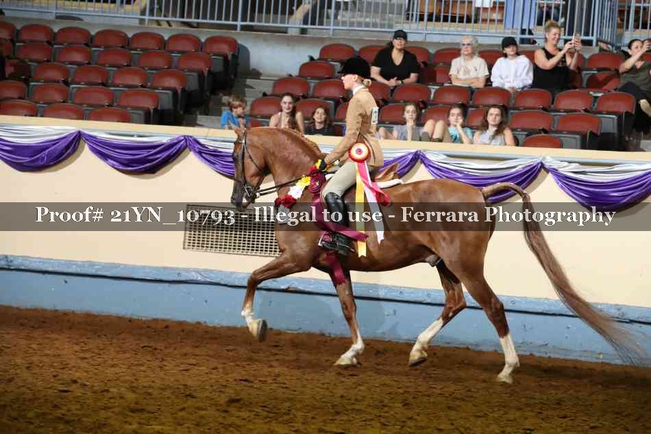 Proof 21YN_10793