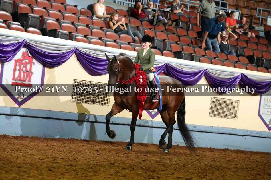 Proof 21YN_10795