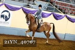 21YN_40707 proof