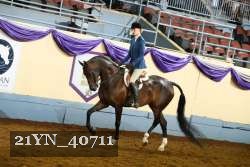21YN_40711 proof