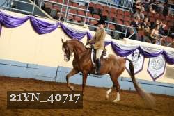 21YN_40717 proof