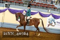 21YN_40724 proof
