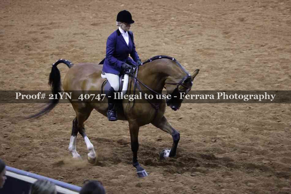 Proof 21YN_40747