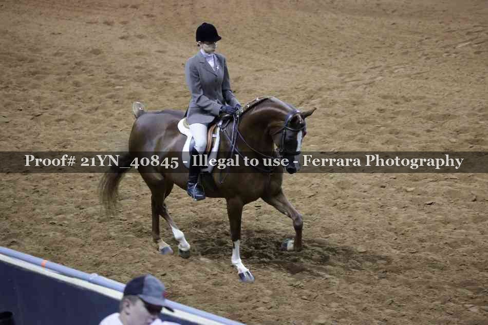 Proof 21YN_40845