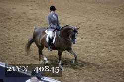 21YN_40845 proof