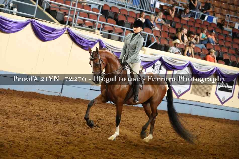 Proof 21YN_72270