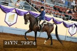 21YN_72274 proof