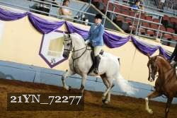 21YN_72277 proof