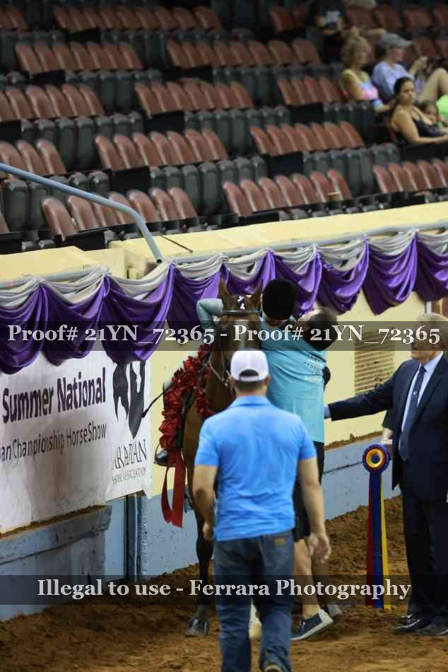 Proof 21YN_72365
