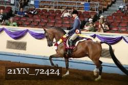 21YN_72424 proof