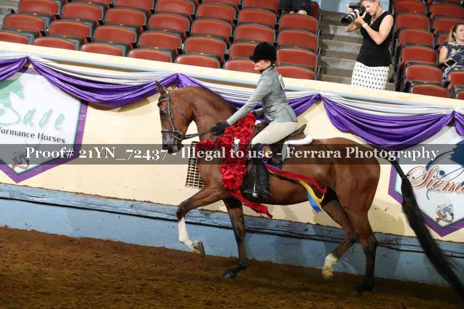 Proof 21YN_72437