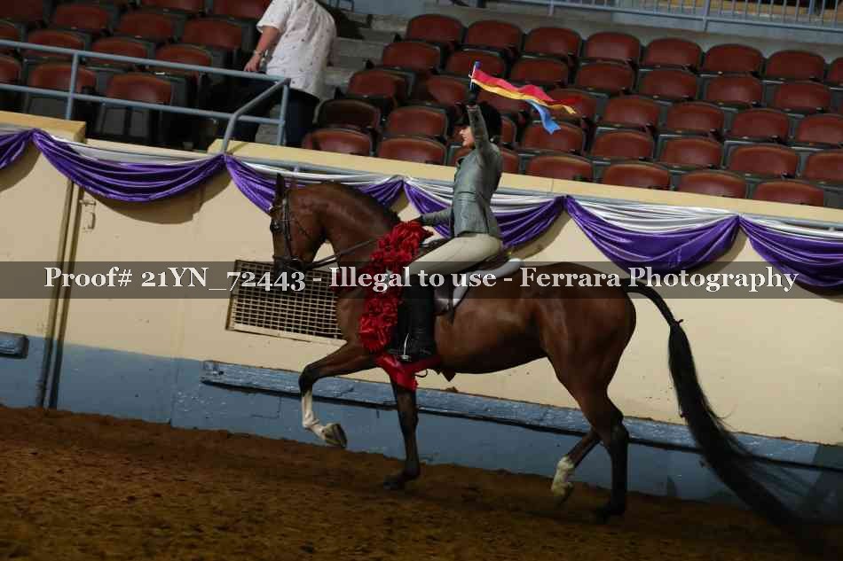 Proof 21YN_72443