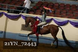 21YN_72443 proof