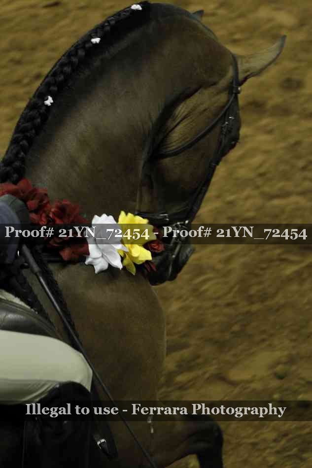 Proof 21YN_72454