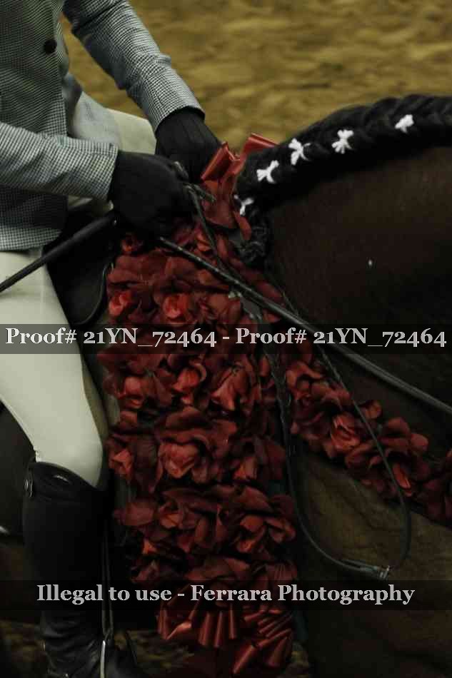 Proof 21YN_72464