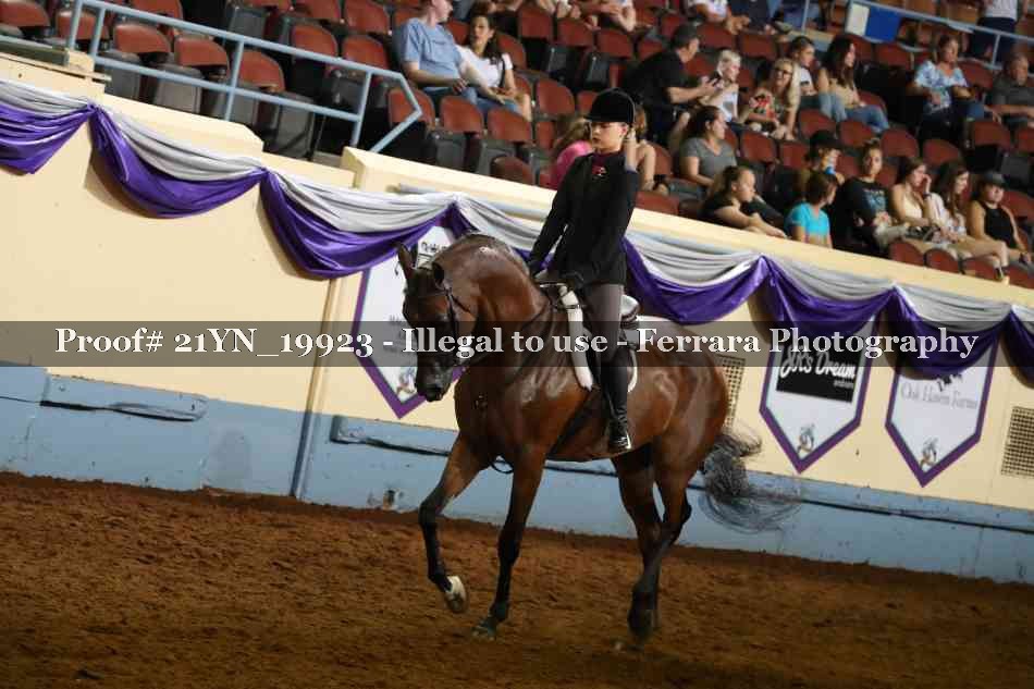 Proof 21YN_19923
