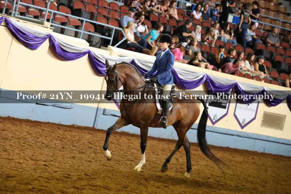 Proof 21YN_19941