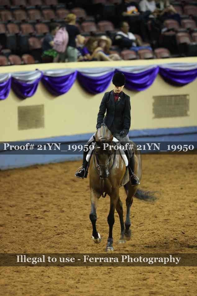 Proof 21YN_19950