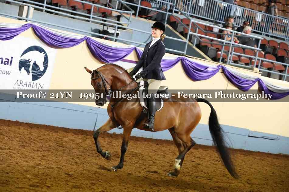 Proof 21YN_19951