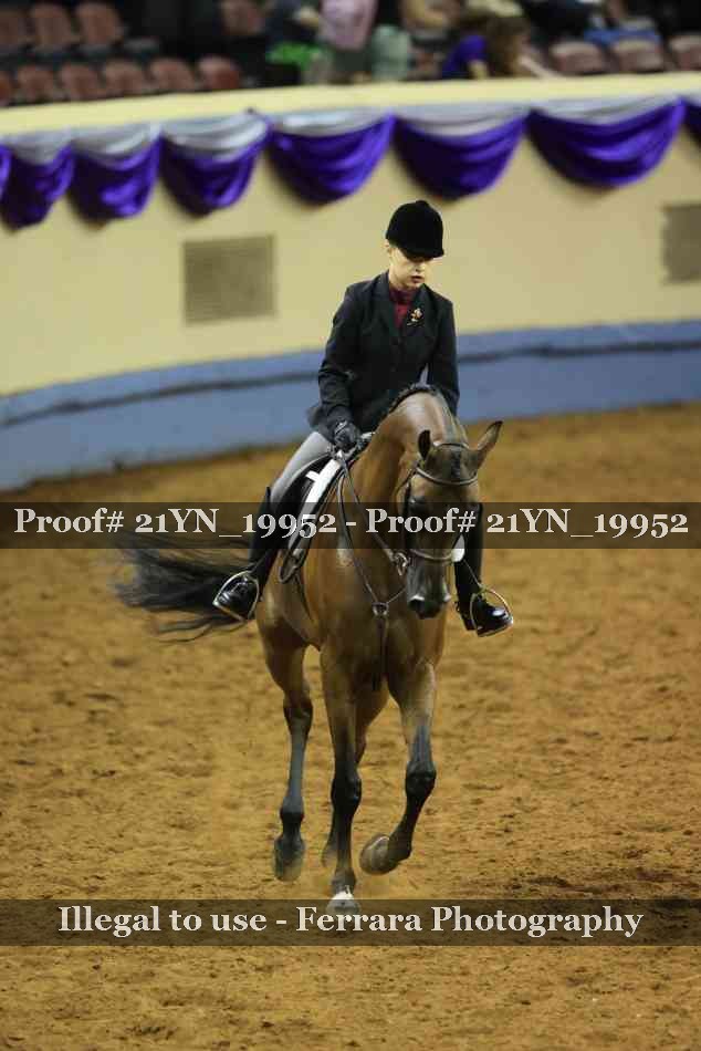 Proof 21YN_19952