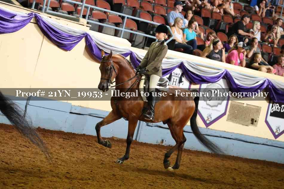 Proof 21YN_19953