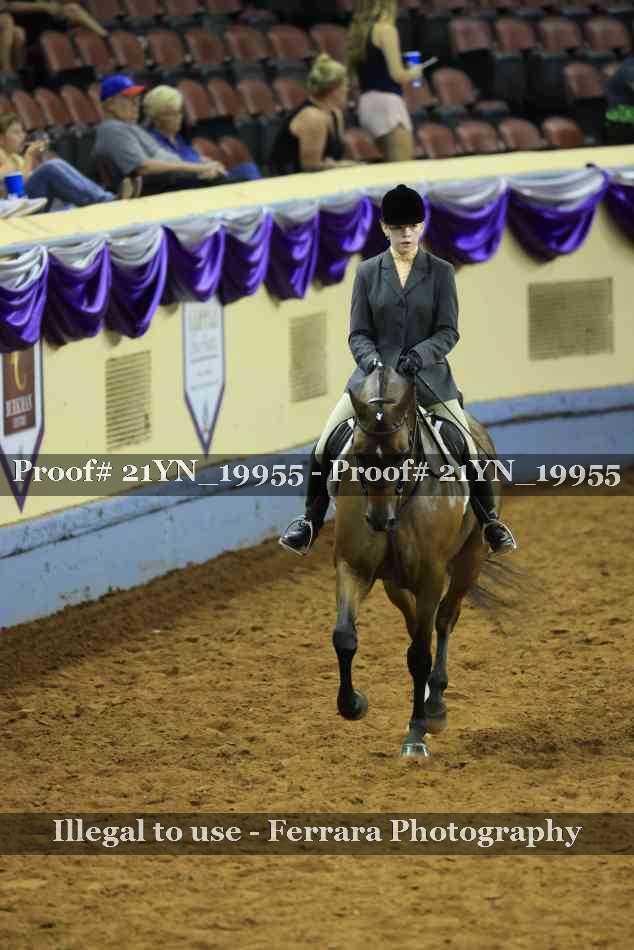 Proof 21YN_19955