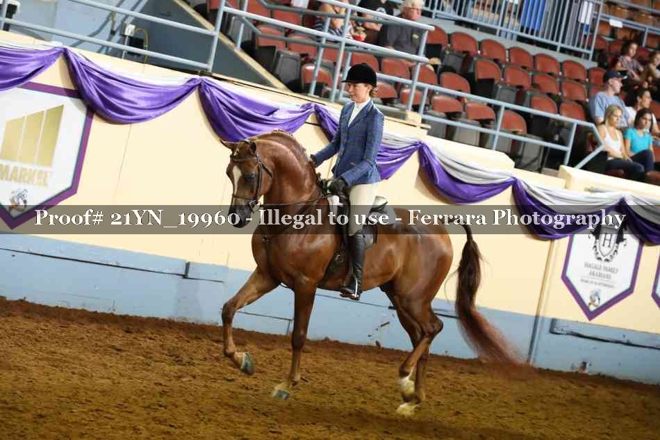 Proof 21YN_19960