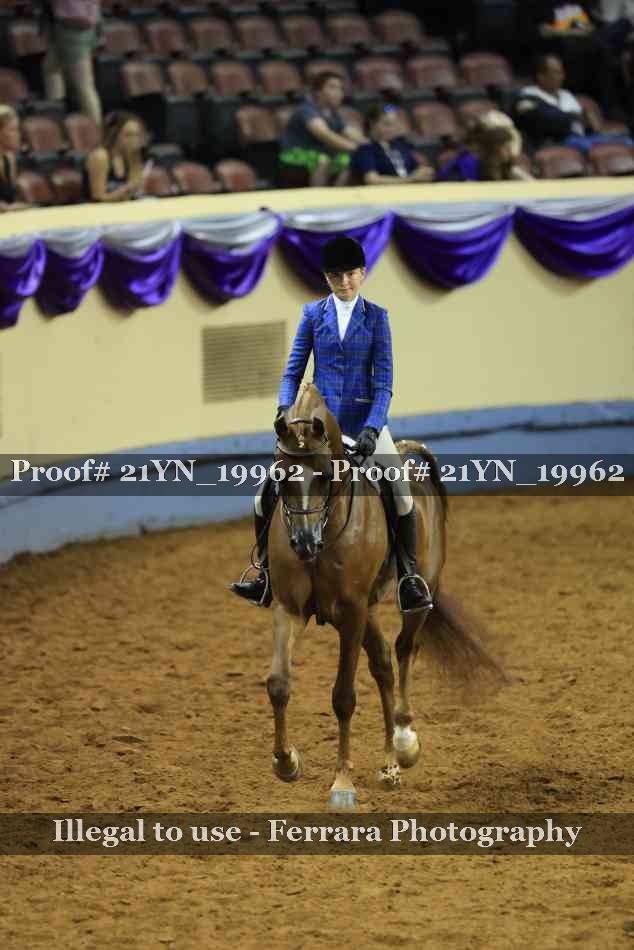 Proof 21YN_19962