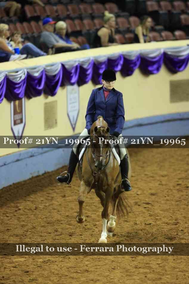 Proof 21YN_19965