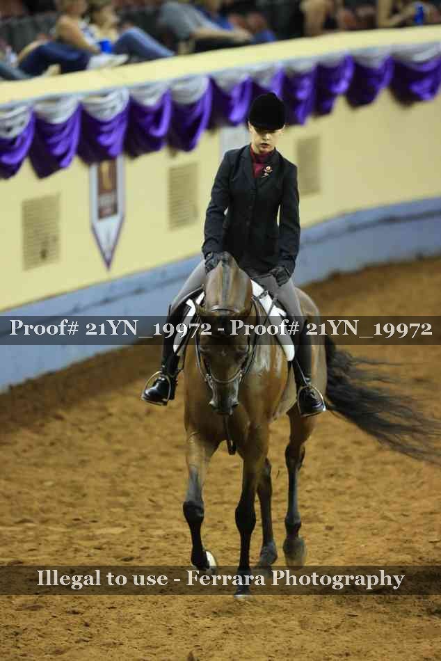 Proof 21YN_19972