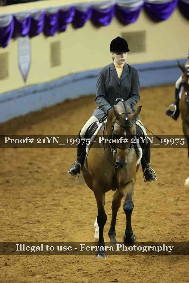 Proof 21YN_19975