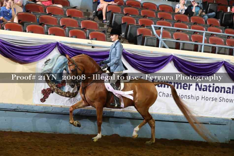 Proof 21YN_20008