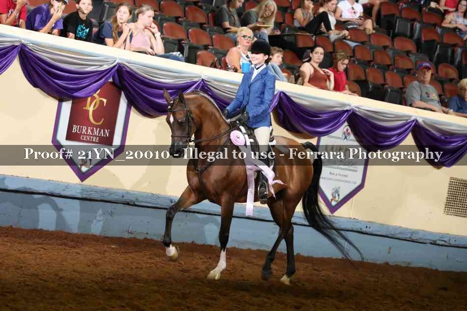 Proof 21YN_20010