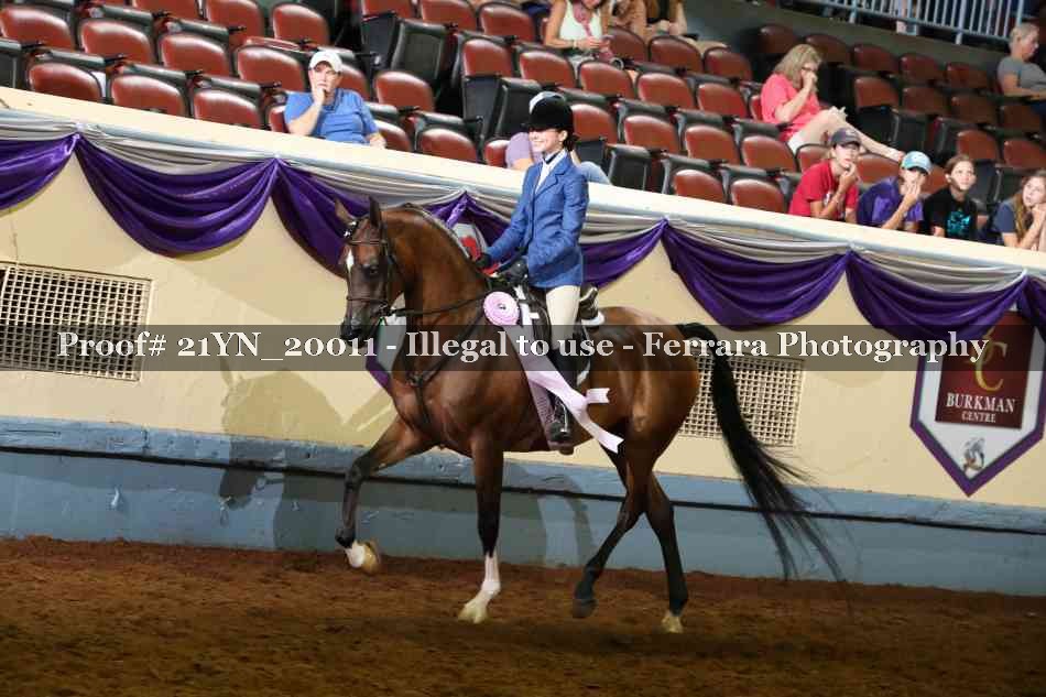 Proof 21YN_20011