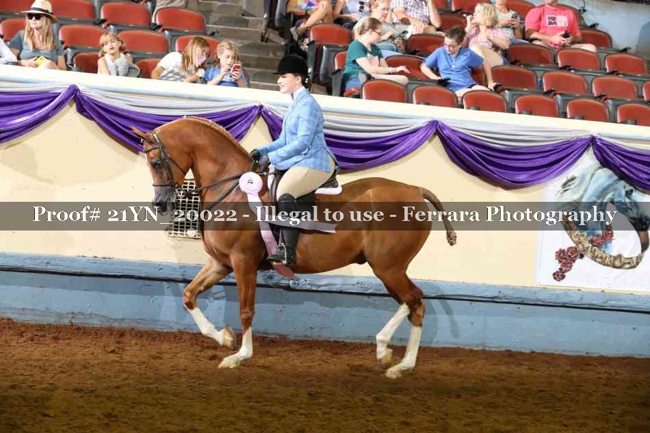 Proof 21YN_20022