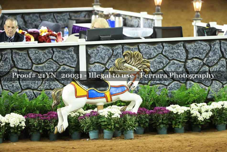 Proof 21YN_20031