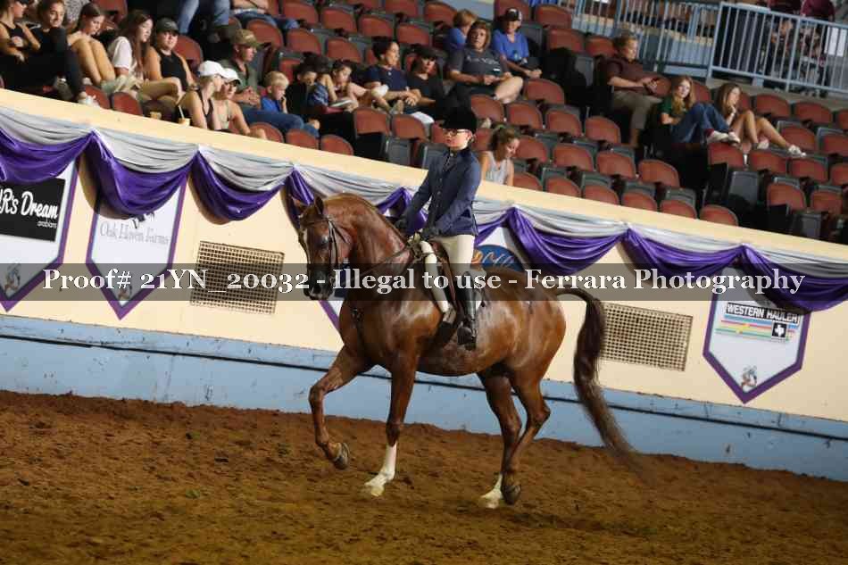 Proof 21YN_20032