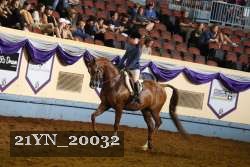 21YN_20032 proof