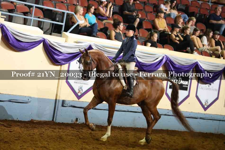 Proof 21YN_20033