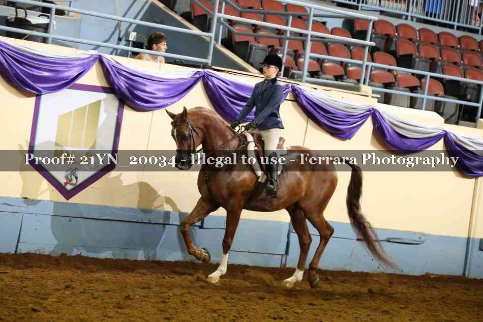 Proof 21YN_20034