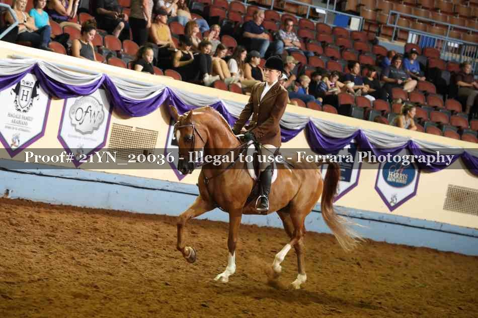 Proof 21YN_20036