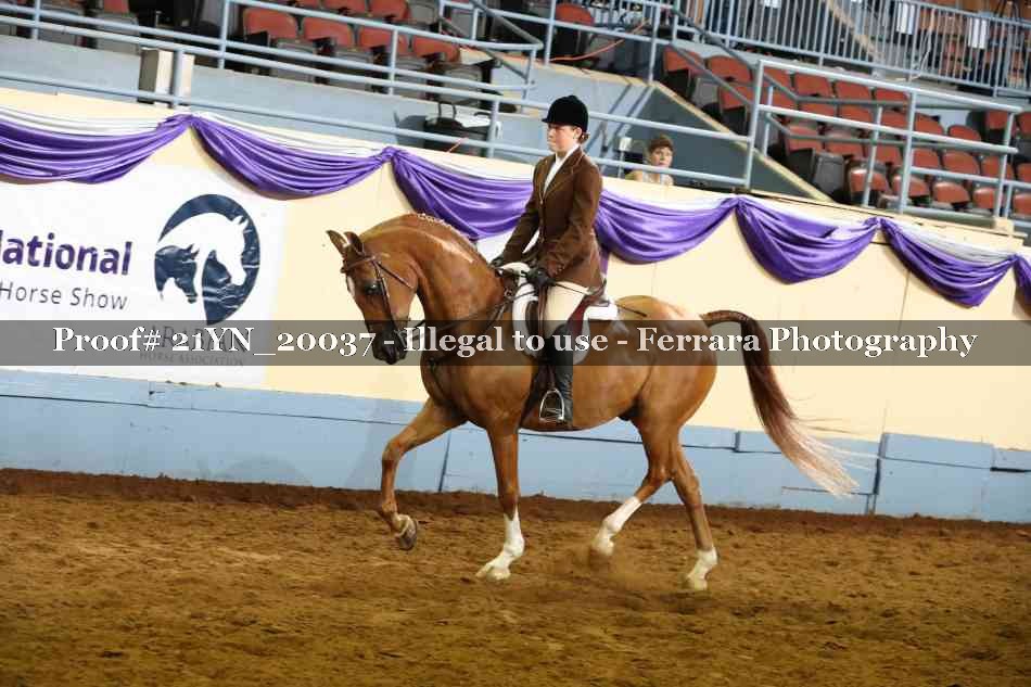 Proof 21YN_20037