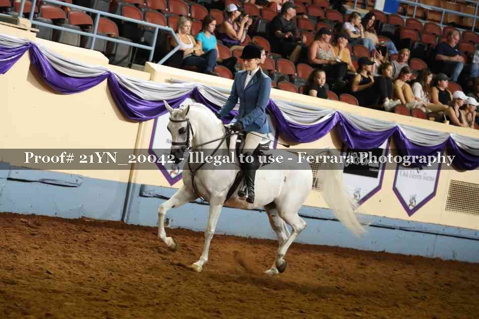 Proof 21YN_20042