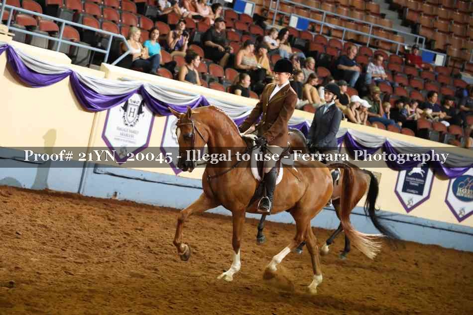 Proof 21YN_20045