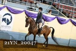21YN_20047 proof
