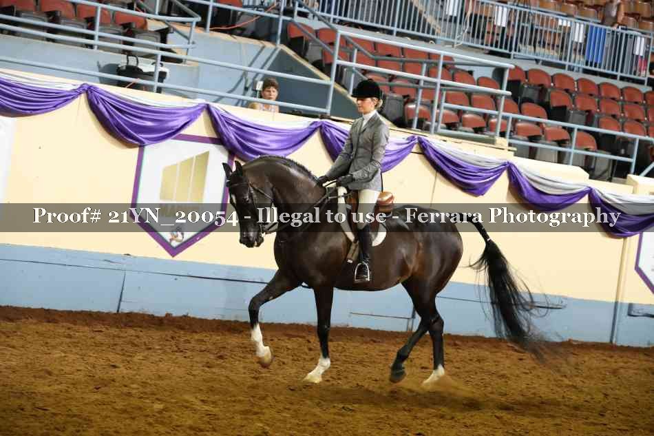 Proof 21YN_20054