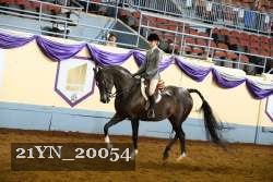 21YN_20054 proof