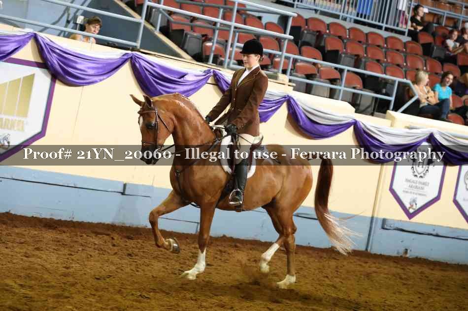 Proof 21YN_20060