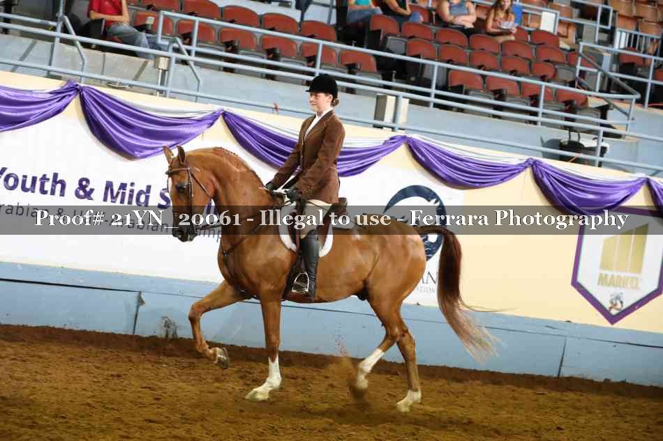 Proof 21YN_20061